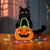 borsa per dolcetto o scherzetto - Trick or Treat Zucca