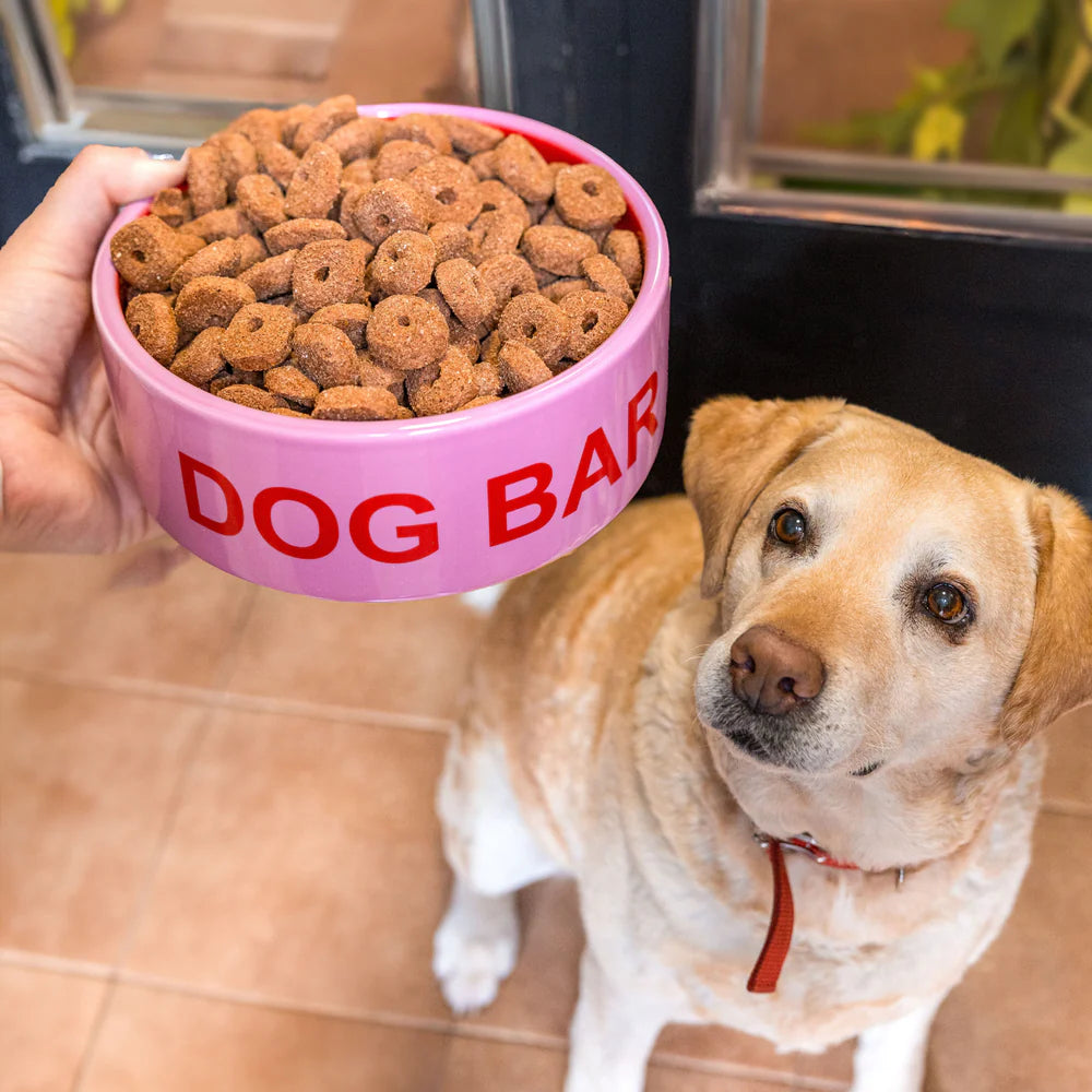 ciotola per animali domestici - pet bowl "dog bar"