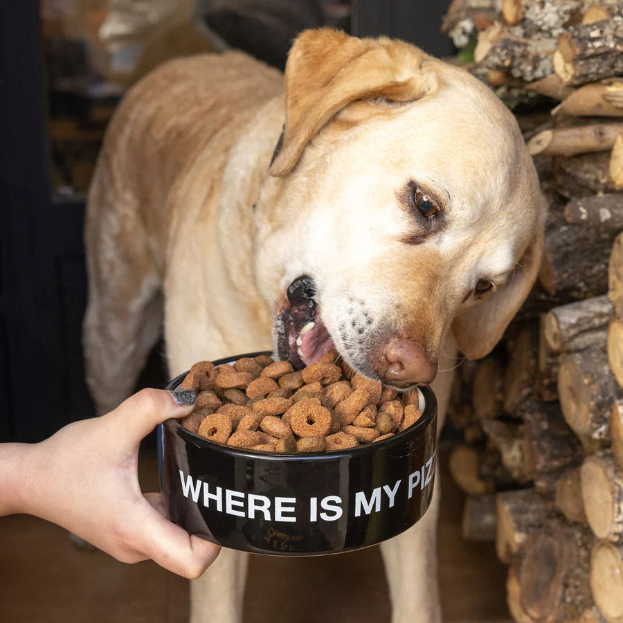 ciotola per animali domestici - pet bowl "where is my pizza"