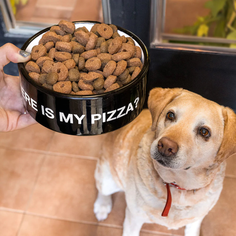 ciotola per animali domestici - pet bowl "where is my pizza"