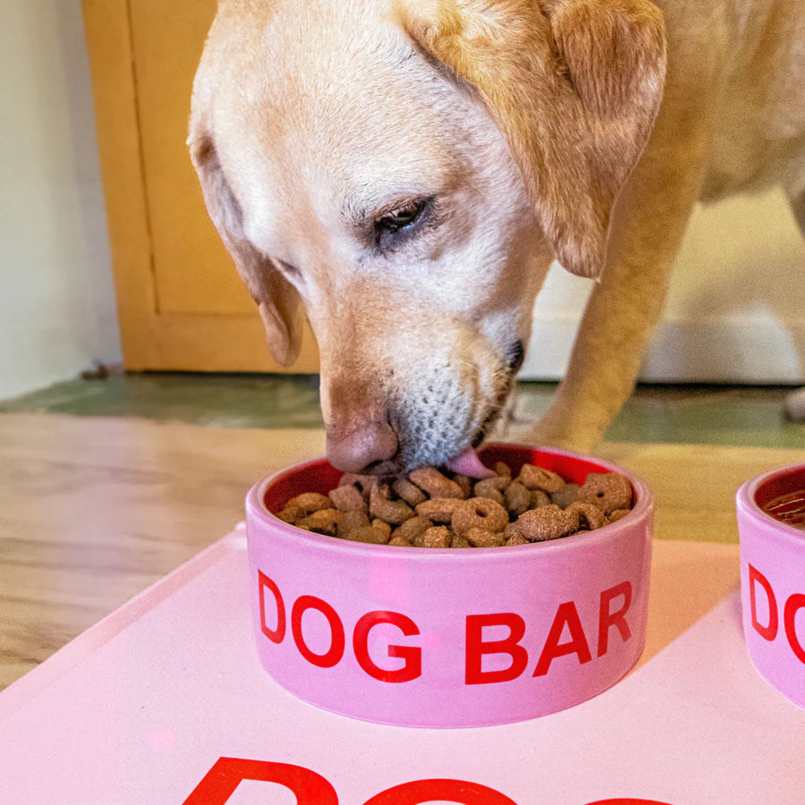 ciotola per animali domestici - pet bowl "dog bar"