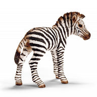 ZEBRA PULEDRO