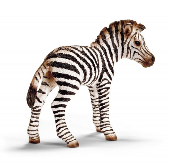 ZEBRA PULEDRO