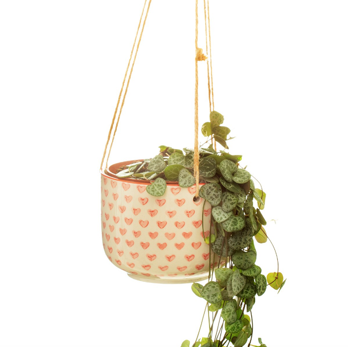 RED LOVE HEART HANGING PLANTER - VASETTO DA APPENDERE